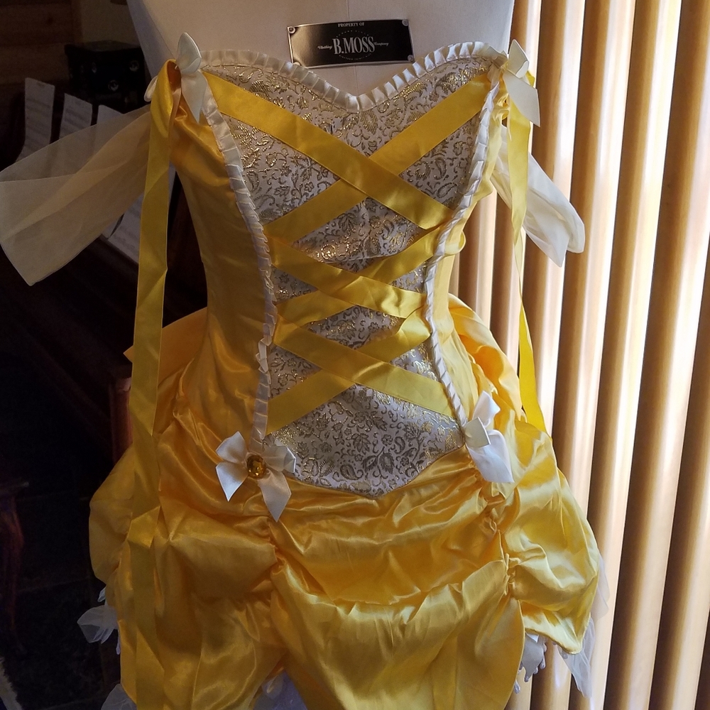 Beauty and the Beast Belle costume & accessoires